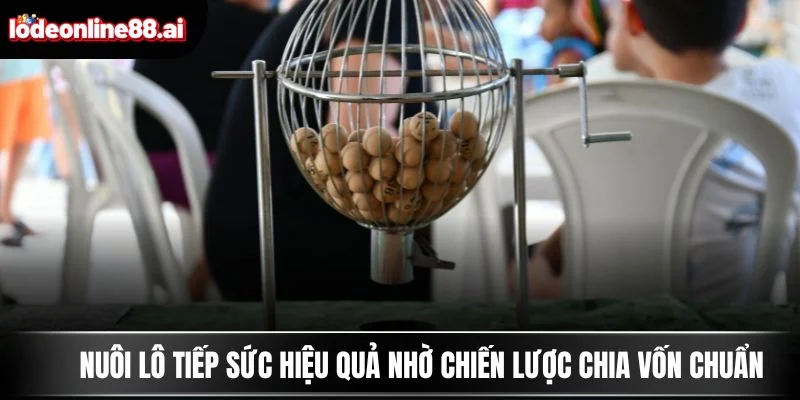 Nuôi Lô Tiếp Sức - Con Đường An Toàn Cho Người Chơi Lâu Dài 3 Nuôi lô tiếp sức hiệu quả nhờ chiến lược chia vốn chuẩn
