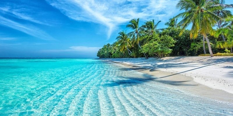 Mơ Thấy Nước - Giải Mã Ý Nghĩa, Điềm Báo Và Bộ Số May Mắn 2 Giấc mơ thấy nước thường đem đến sự yên bình